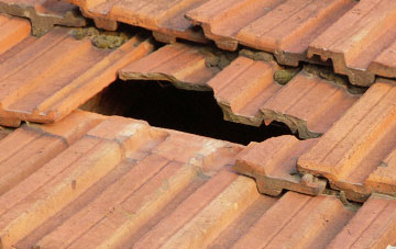 roof repair Inshegra, Highland