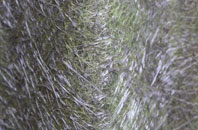 Inshegra fibreglass roof work